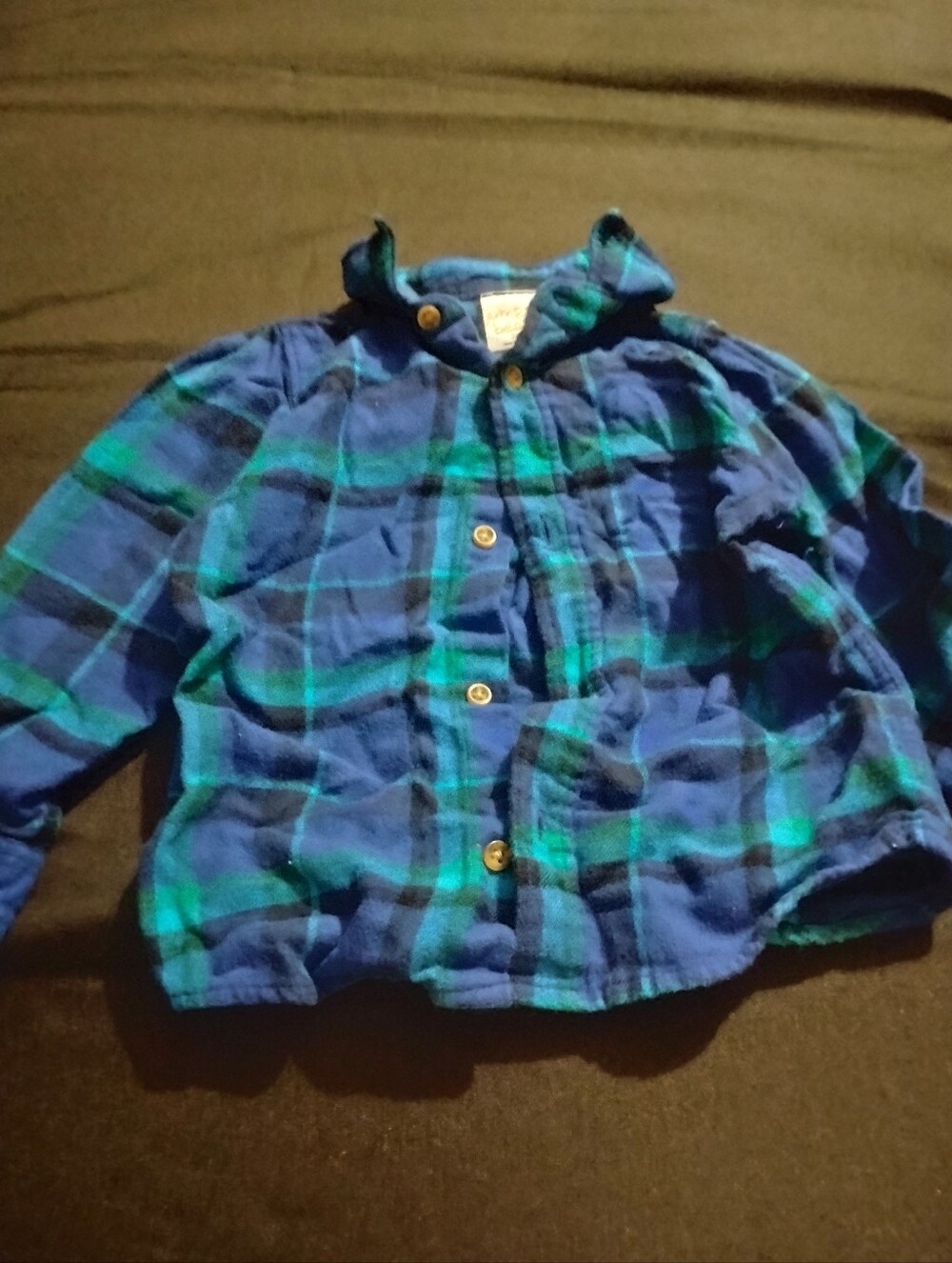 jumping beans Blue and Green Plaid Button-Down Shirt